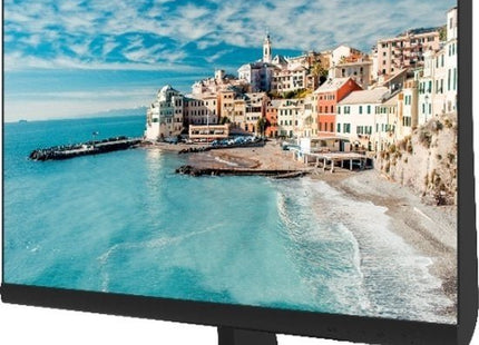 24'' monitor Full HD - alarmsysteemexpert.nl