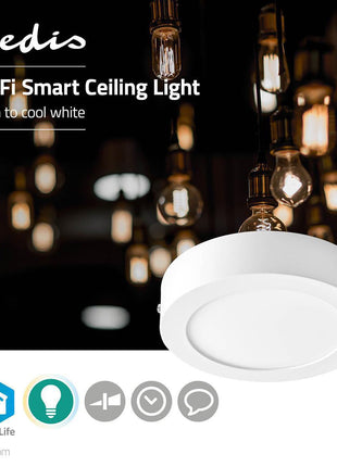 SmartLife Plafondlamp - alarmsysteemexpert.nl